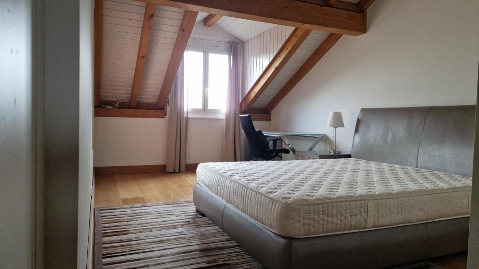 Penthouse In Cologny Switzerland Apartment Женева Екстериор снимка